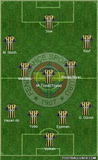 Fenerbahçe SK Formation 2012