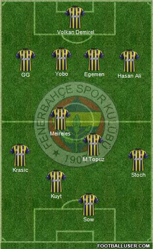 Fenerbahçe SK Formation 2012