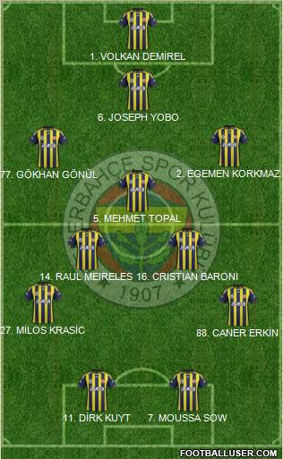 Fenerbahçe SK Formation 2012