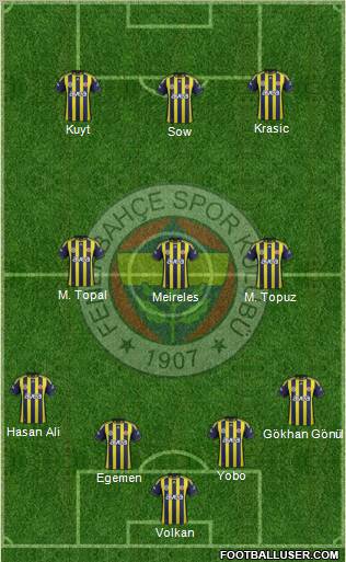 Fenerbahçe SK Formation 2012