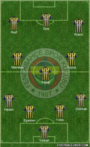 Fenerbahçe SK Formation 2012