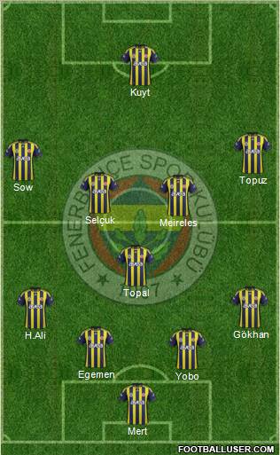 Fenerbahçe SK Formation 2012
