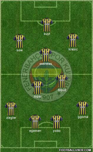 Fenerbahçe SK Formation 2012