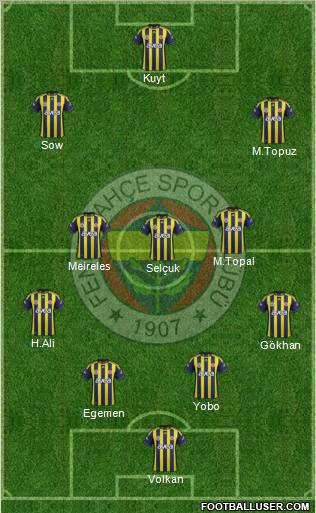 Fenerbahçe SK Formation 2012
