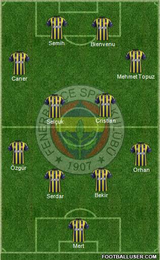 Fenerbahçe SK Formation 2012