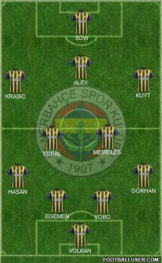 Fenerbahçe SK Formation 2012