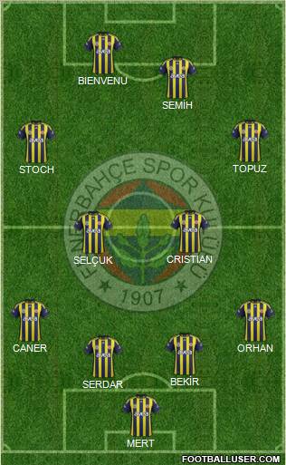 Fenerbahçe SK Formation 2012