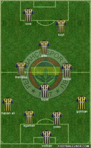 Fenerbahçe SK Formation 2012