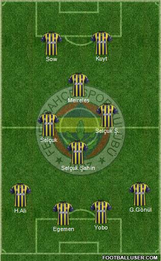 Fenerbahçe SK Formation 2012