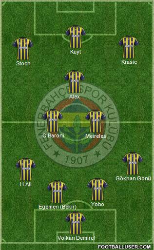 Fenerbahçe SK Formation 2012