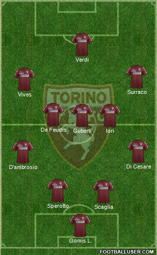 Torino Formation 2012