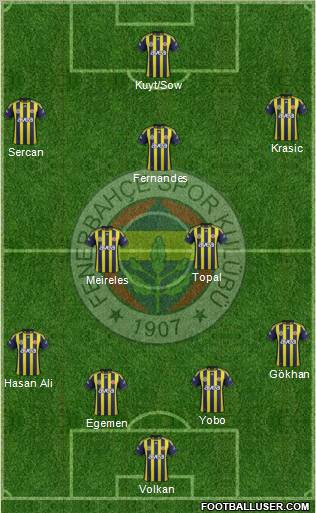 Fenerbahçe SK Formation 2012