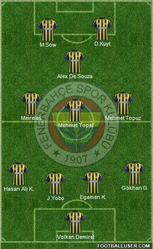 Fenerbahçe SK Formation 2012