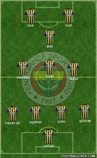 Fenerbahçe SK Formation 2012