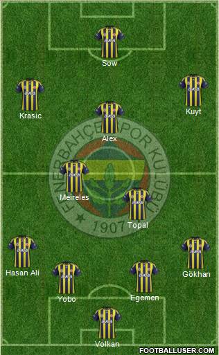 Fenerbahçe SK Formation 2012