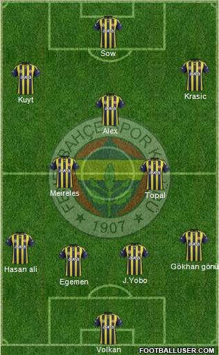 Fenerbahçe SK Formation 2012