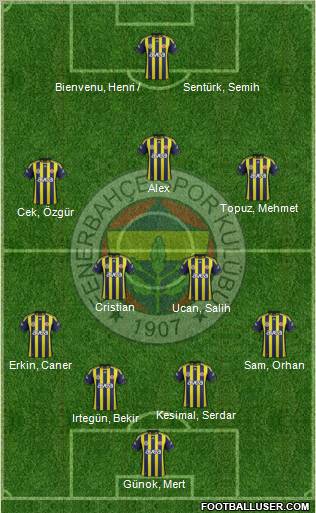 Fenerbahçe SK Formation 2012