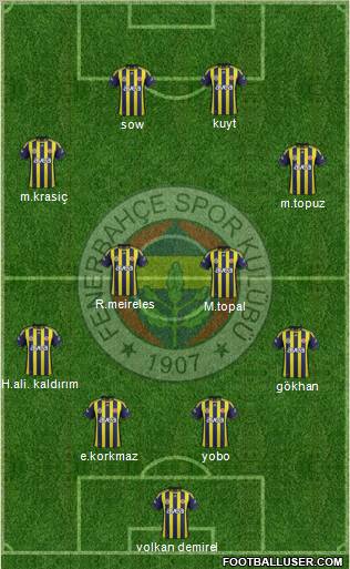 Fenerbahçe SK Formation 2012
