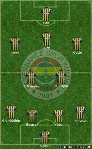 Fenerbahçe SK Formation 2012