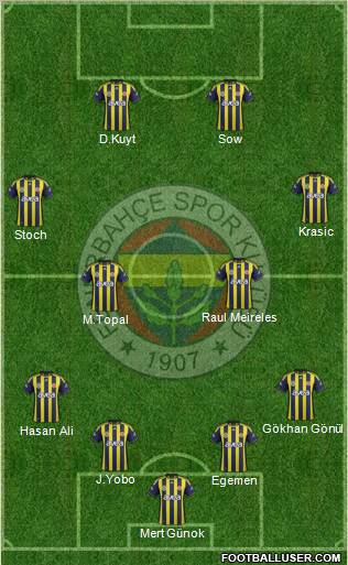 Fenerbahçe SK Formation 2012