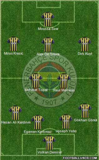 Fenerbahçe SK Formation 2012