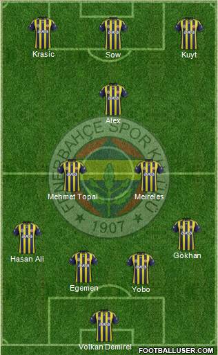 Fenerbahçe SK Formation 2012
