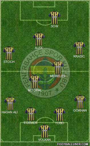Fenerbahçe SK Formation 2012