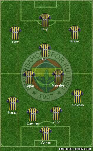 Fenerbahçe SK Formation 2012