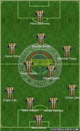 Fenerbahçe SK Formation 2012