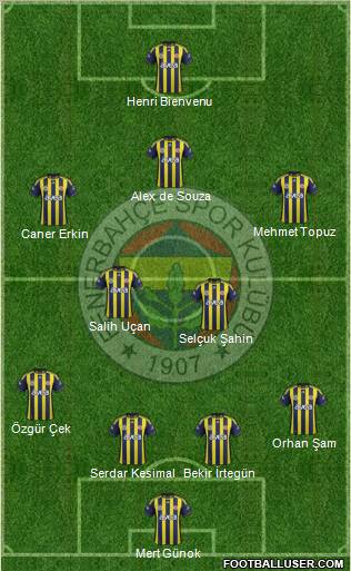 Fenerbahçe SK Formation 2012