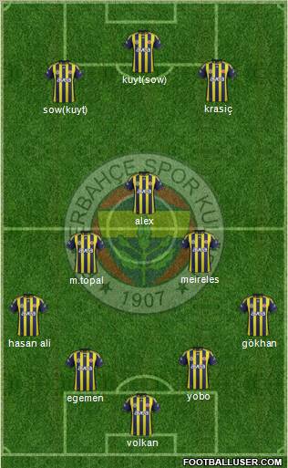 Fenerbahçe SK Formation 2012