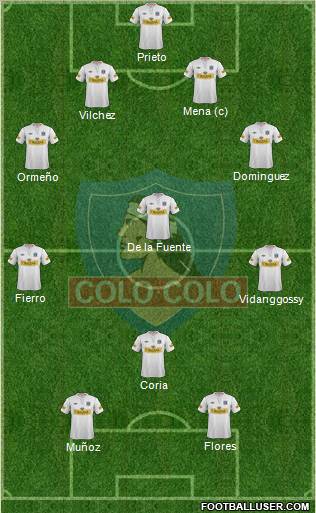 CSD Colo Colo Formation 2012