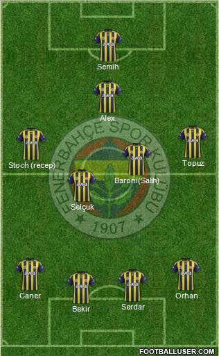 Fenerbahçe SK Formation 2012