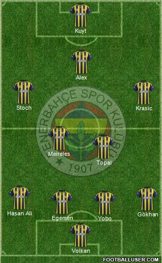 Fenerbahçe SK Formation 2012