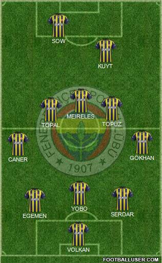 Fenerbahçe SK Formation 2012