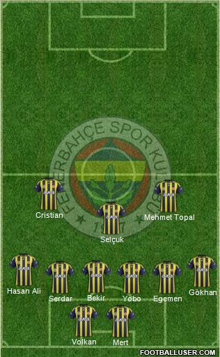 Fenerbahçe SK Formation 2012