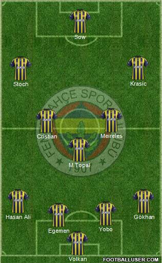 Fenerbahçe SK Formation 2012