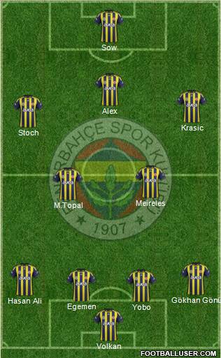 Fenerbahçe SK Formation 2012