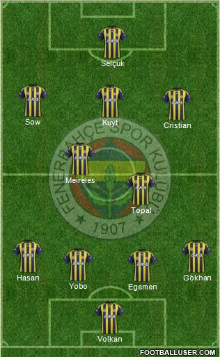 Fenerbahçe SK Formation 2012