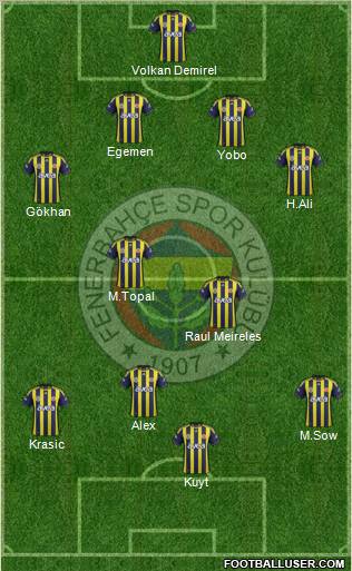 Fenerbahçe SK Formation 2012