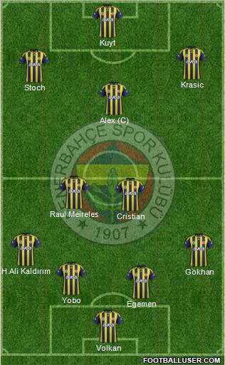Fenerbahçe SK Formation 2012