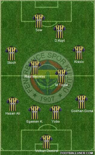 Fenerbahçe SK Formation 2012