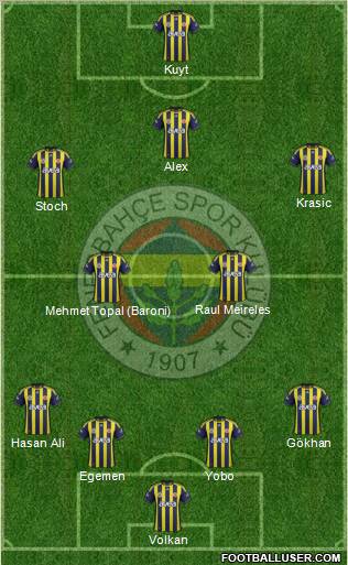 Fenerbahçe SK Formation 2012