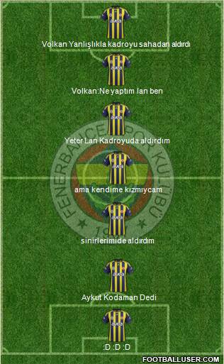Fenerbahçe SK Formation 2012