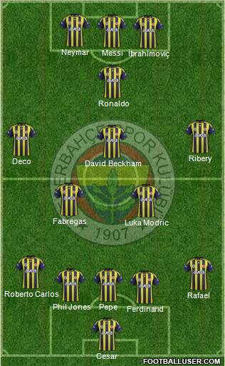 Fenerbahçe SK Formation 2012