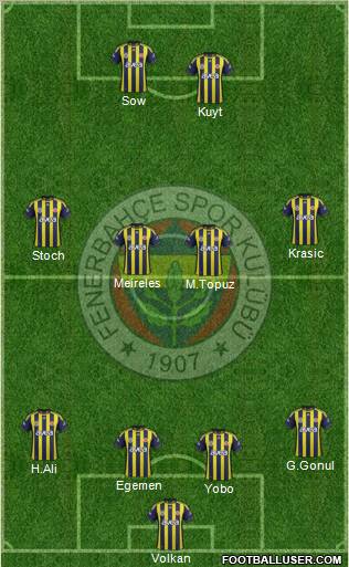 Fenerbahçe SK Formation 2012