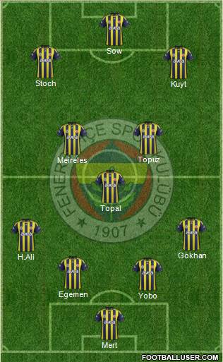 Fenerbahçe SK Formation 2012