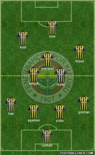 Fenerbahçe SK Formation 2012