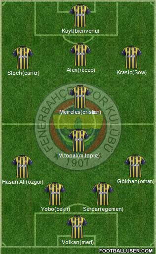 Fenerbahçe SK Formation 2012