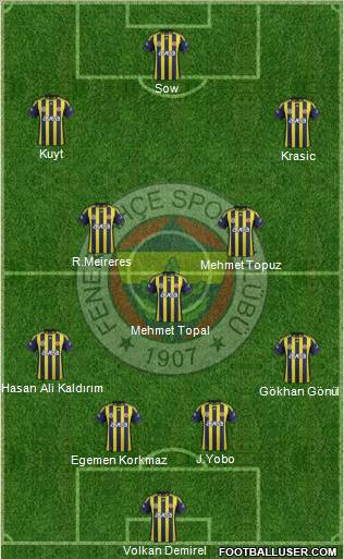 Fenerbahçe SK Formation 2012